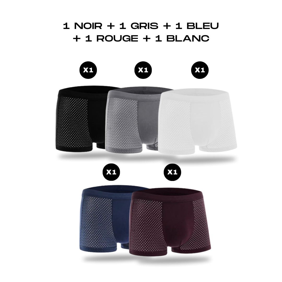 Mens Boxers | BOXERS EN FIBRE DE BAMBOU | BAMBOOWEAR 5-PACK